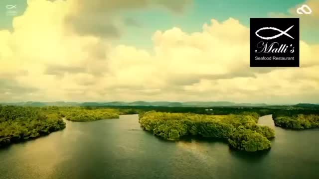 🎶🔥 SATURDAY NIGHT FEVER at Malli’s Riverside 🔥🎶

We’re excited to announce that from 10th January, every Saturday is DJ Night at Malli’s Seafood Restaurant Riverside.

Enjoy great food, drinks, dancing, and a magical riverside ambience, with changing DJs from Sri Lanka, featuring Clouds & Dreams DJs, bringing fresh vibes every week 🎧✨

🕓 4:00 PM till late
🎵 Eat | Drink | Dance
🎟️ Entry fee: LKR 2,000 per person
📍 Malli’s Seafood Restaurant Riverside – Bentota

Where good music, great vibes, and weekend energy come together ✨🎧

#SaturdayNightFever
#MallisSeafood
#CloudsAndDreams
#RiversideVibes
#SriLankaNightlife