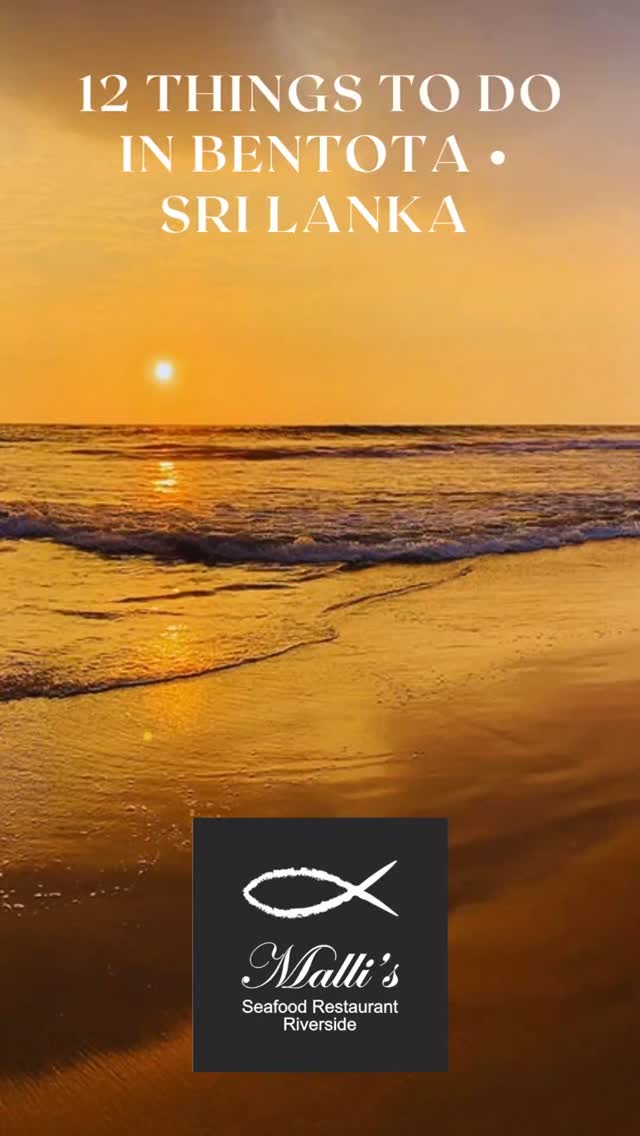 Beyond the beach! 🏖️ While Bentota's golden sands are legendary, there's so much more to explore. From architectural marvels and wildlife encounters to bustling local markets and the freshest seafood at Malli's, get ready for a diverse adventure! Plus, don't forget that iconic day trip to Galle. Here are 12 reasons to fall in love with Bentota!

#Bentota #SriLanka #BentotaBeach #TravelSriLanka #RiverSafari #GalleFort #BentotaRiver #MallisSeafood #Watersports #BriefGarden #TurtleHatchery #VisitSriLanka #TravelReel #IslandLife #BucketList #ExploreMore