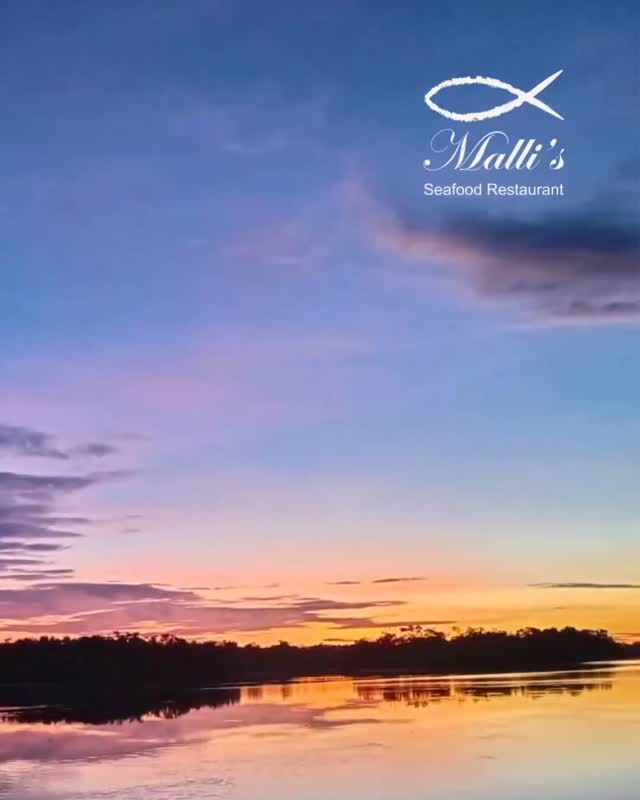 Great food, cool vibes, stunning scenery directly the Bentota River.

Join us at Malli's Seafood Restaurant.

#MallisSeafood #BentotaDining #FreshCatch #SeafoodLovers #SriLankanCuisine RiverfrontDining SeafoodExperience FoodieParadise TasteOfSriLanka LocalFlavors IndianFoodies DiningInBentota SeafoodFeast FoodWithAView SriLankaTravel IndianTravelers SeafoodRestaurant CulinaryAdventure MouthwateringMeals TravelSriLanka srilankadaily ceylontravelpaths sltravelofficial catamaran catamarans catamarandining
